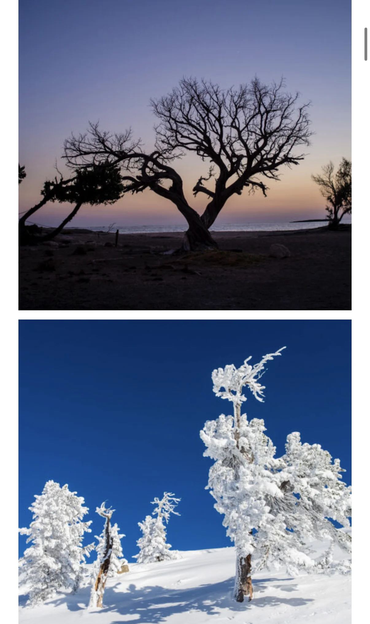 Markus Palzer Mobile — portfolio nature 2